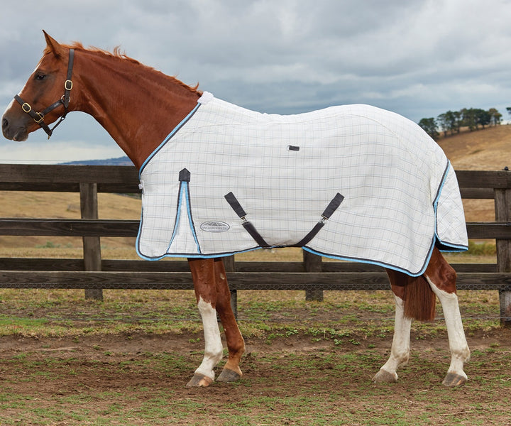 Weatherbeeta Cotton Summer Sheet Standard Neck Grey/Light Blue