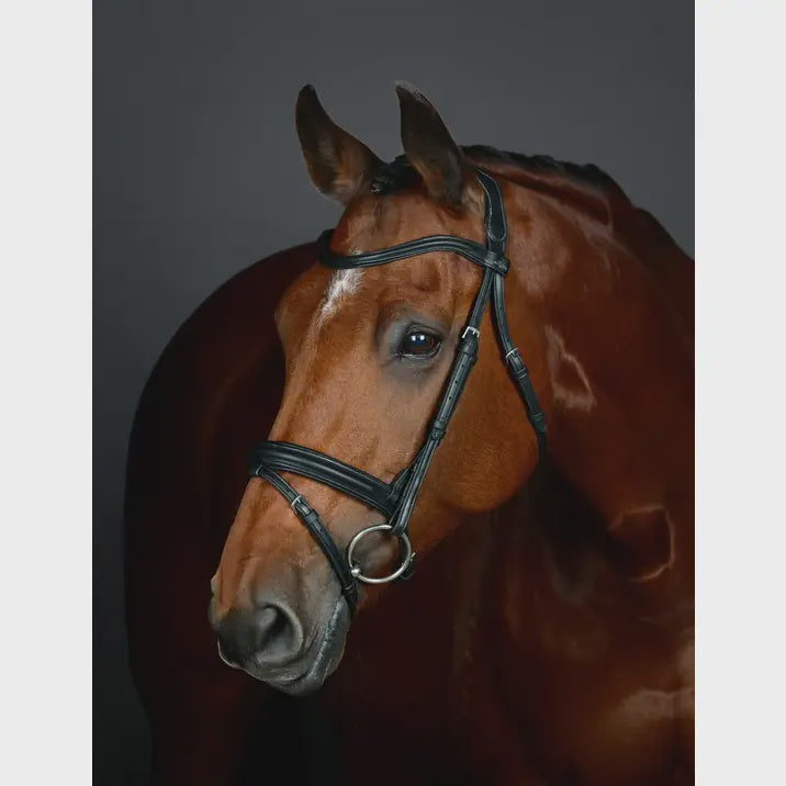 Collegiate ComFiTec Opulux Plain Padded Hanoverian Flash Bridle