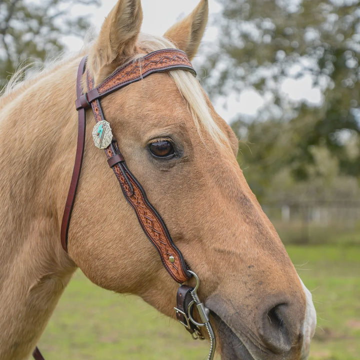 CIRCLE Y MONTANA BROWBAND HEADSTALL