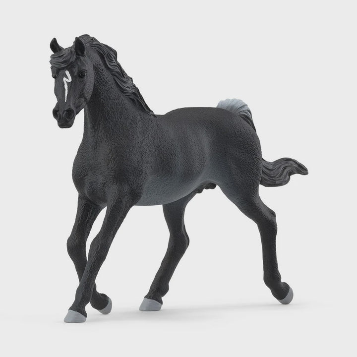 Schleich Arabian Stallion