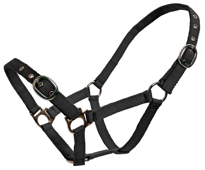 Classic Web Miniature Pony Halter