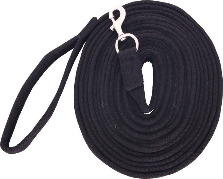 Flair Soft Webbing Lunge Lead