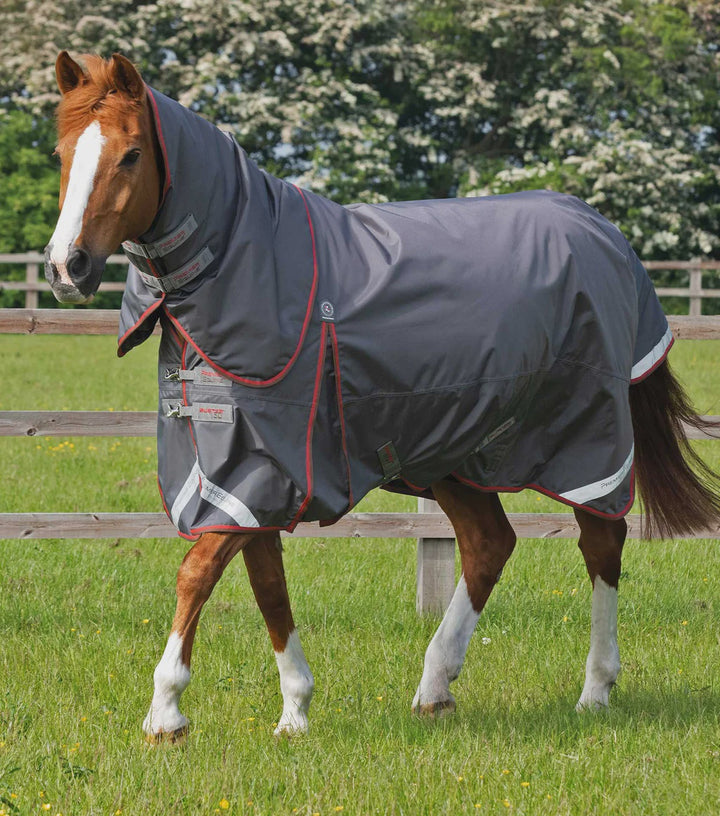 Buster 150g Turnout Rug with Classic Neck Cover