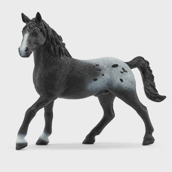 Schleich Knabstrupper Stallion