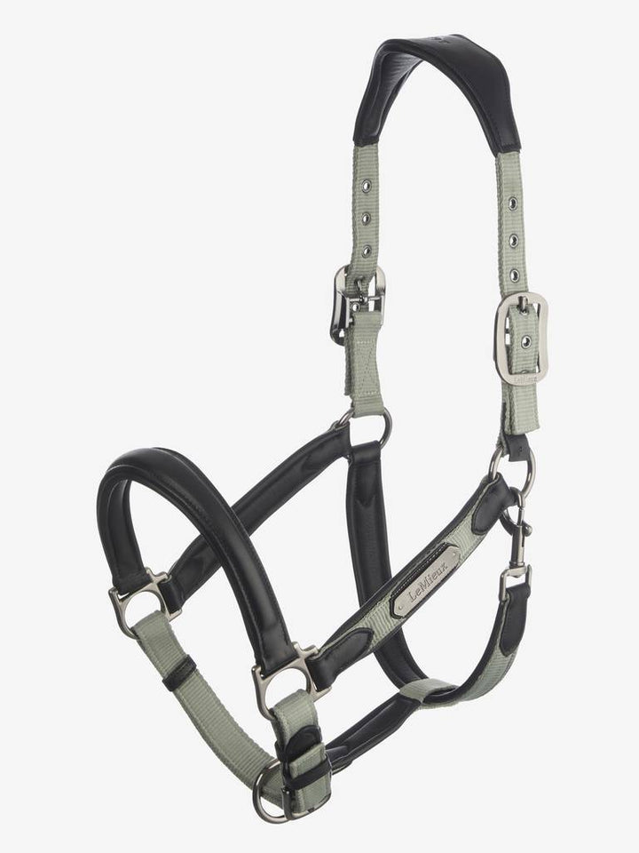 LeMieux Capella Headcollar