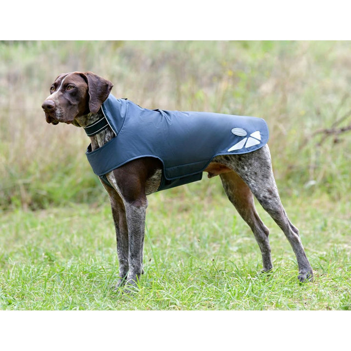 Explorer Lite Dog Coat