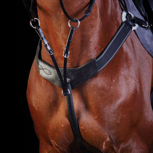 Collegiate Three Point Breastplate