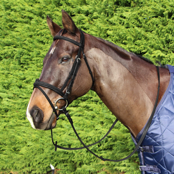 Cavallino Mclean Anatomic Bridle