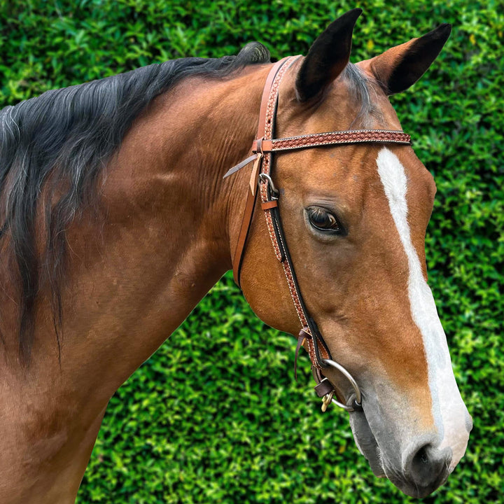 Ezy Ride Bridle Brow with Stamping Headstall