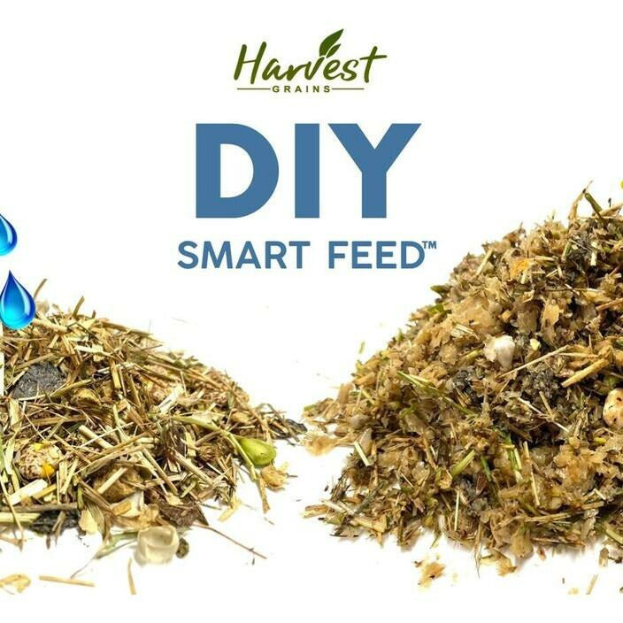 Harvest Grains DIY Smart Feed  15kg