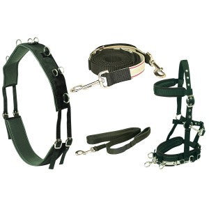 Equi-Prene Anti-Gall Lunging Starter Kit