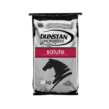 Dunstan Salute 20kg